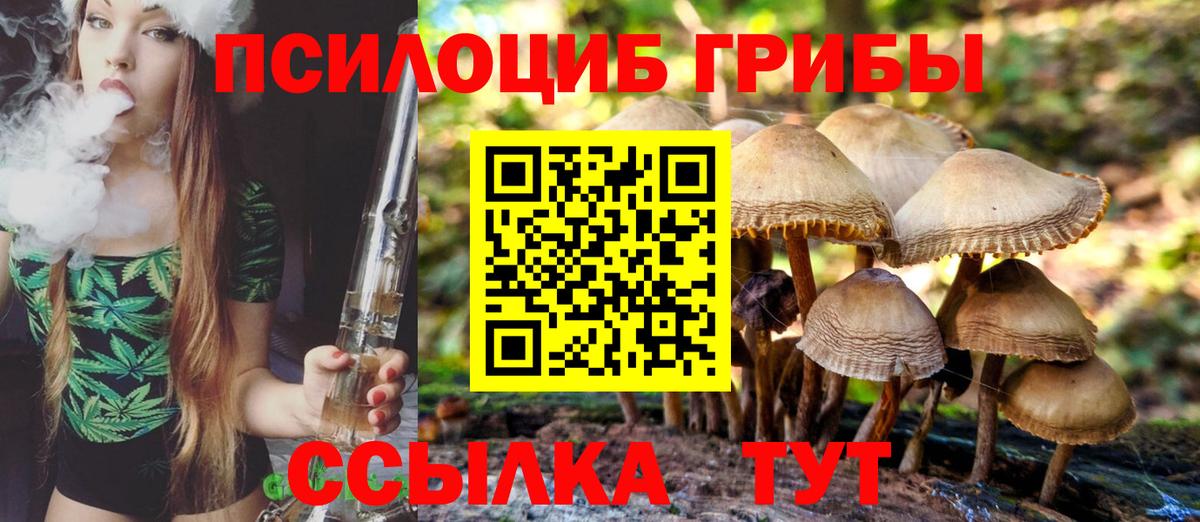 Галлюциногенные грибы MAGIC MUSHROOMS Черняховск
